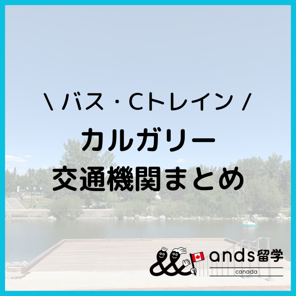 カルガリーの交通手段まとめ2024年版！バス・ライトレール（Cトレイン）とは？